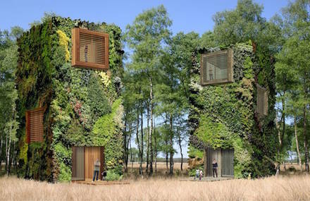 Futuristic House Designed as Trees