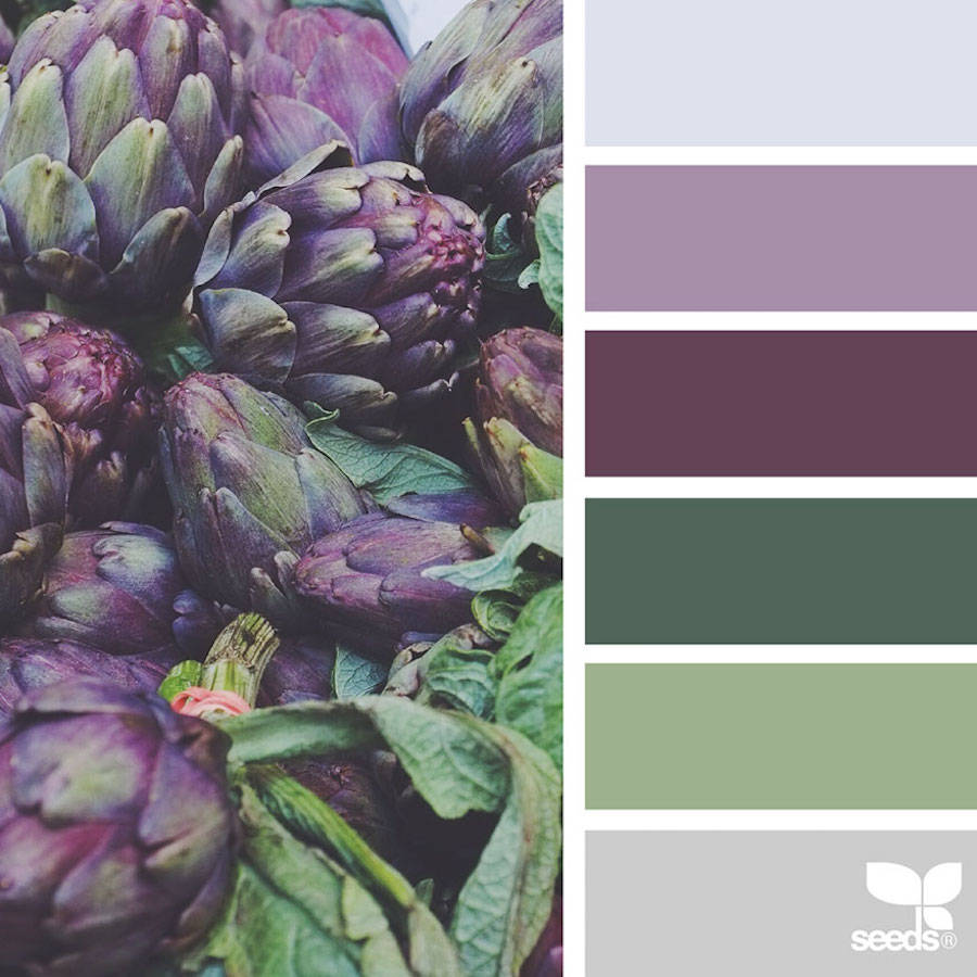 tack Horn Køre ud Nature Colors Palettes – Fubiz Media