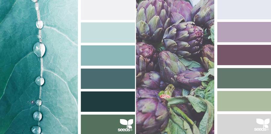 tack Horn Køre ud Nature Colors Palettes – Fubiz Media