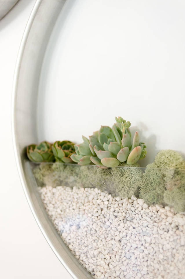 Tiny Vertical Gardens Planters – Fubiz Media