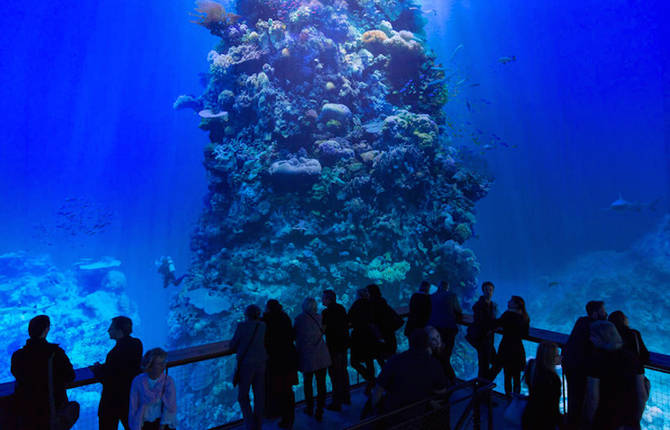 Full Scale Panorama of Australia Great Barrier Reef