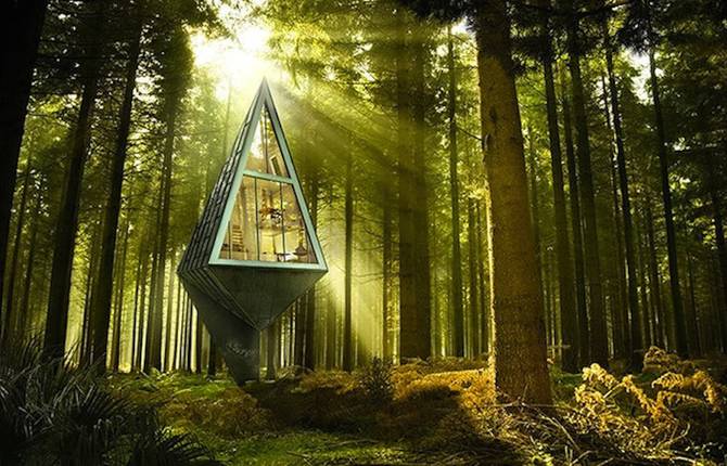 Tree-Inspired Single Pole Home
