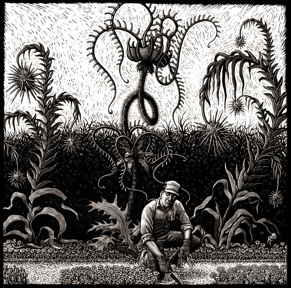 Stunning Illustrations on Scratchboard Media
