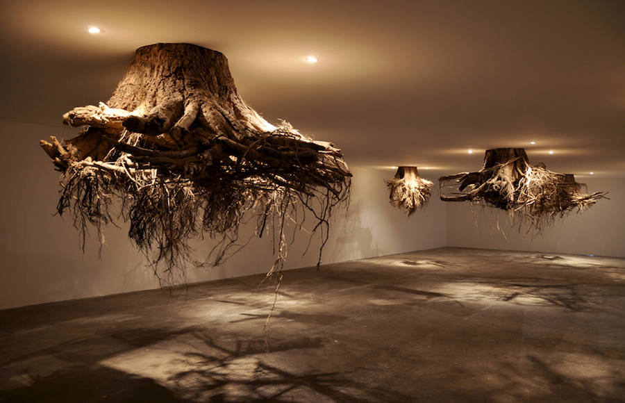 Real Tree Roots Chandeliers Installation