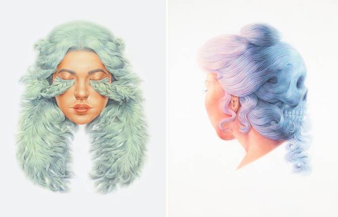 Pearly Hairy Illustrations