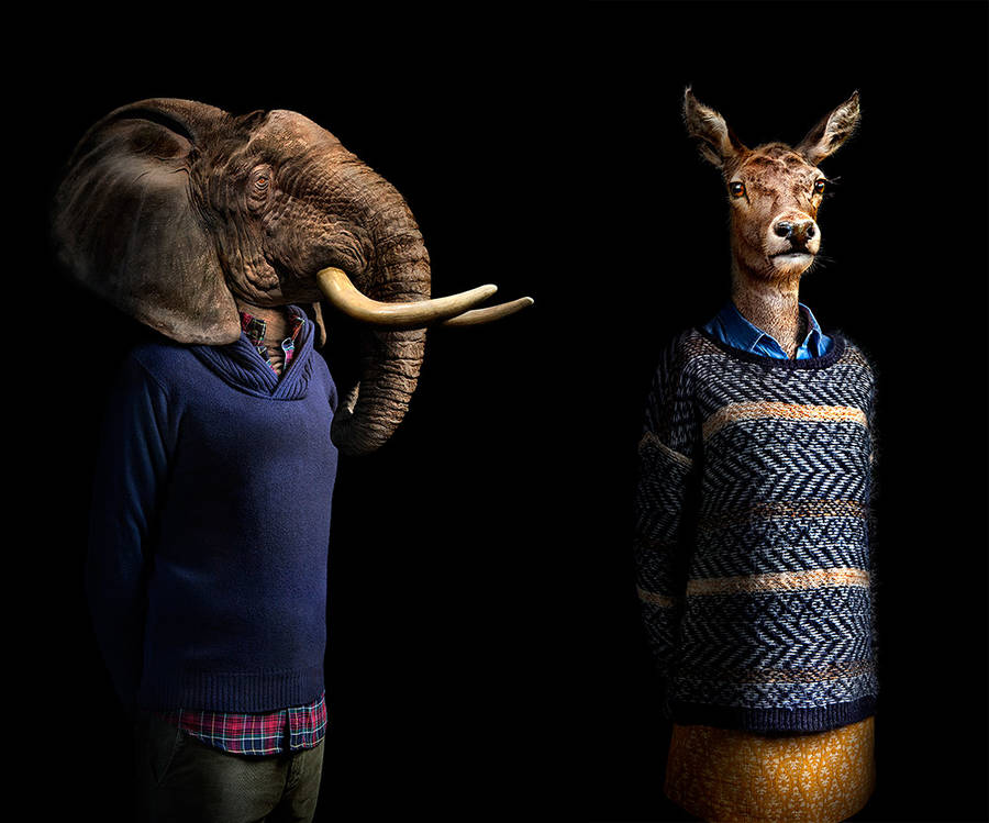 Animals and Flowers Bouquets Dressed Up as Humans
