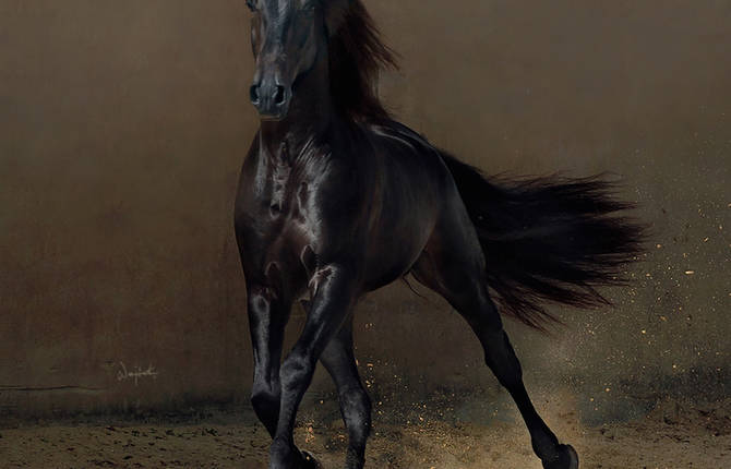 Impressive and Powerful Horses Photos