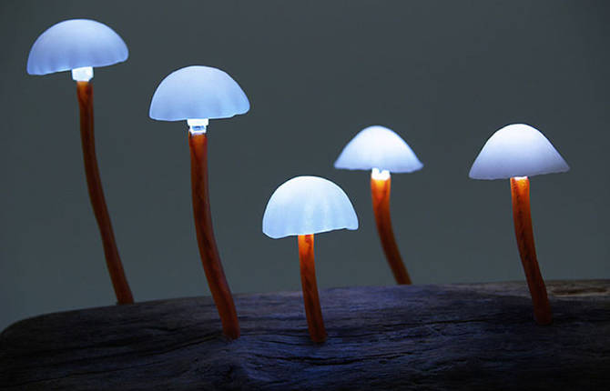 Led Mushroom Lights