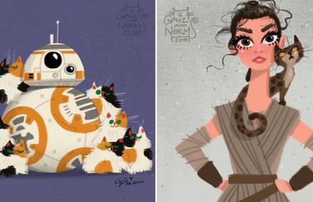 Star Wars Characters With Cats Illustrations