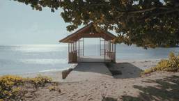 Relaxing and Contemplative Video in Seychelles