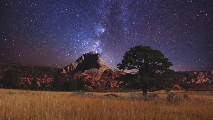 Spectacular Starry Night in Zion National Park