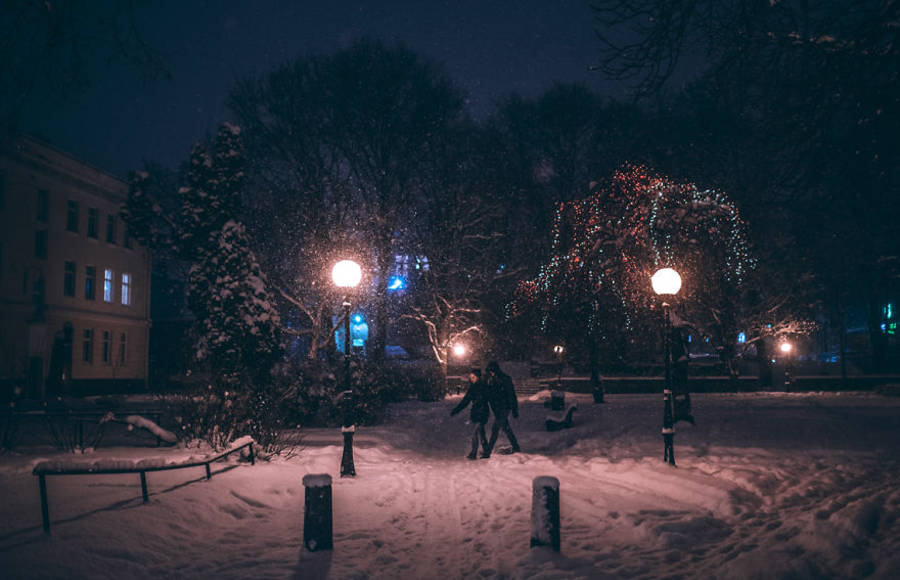 Splendid Pictures of Tallinn in the Blizzard