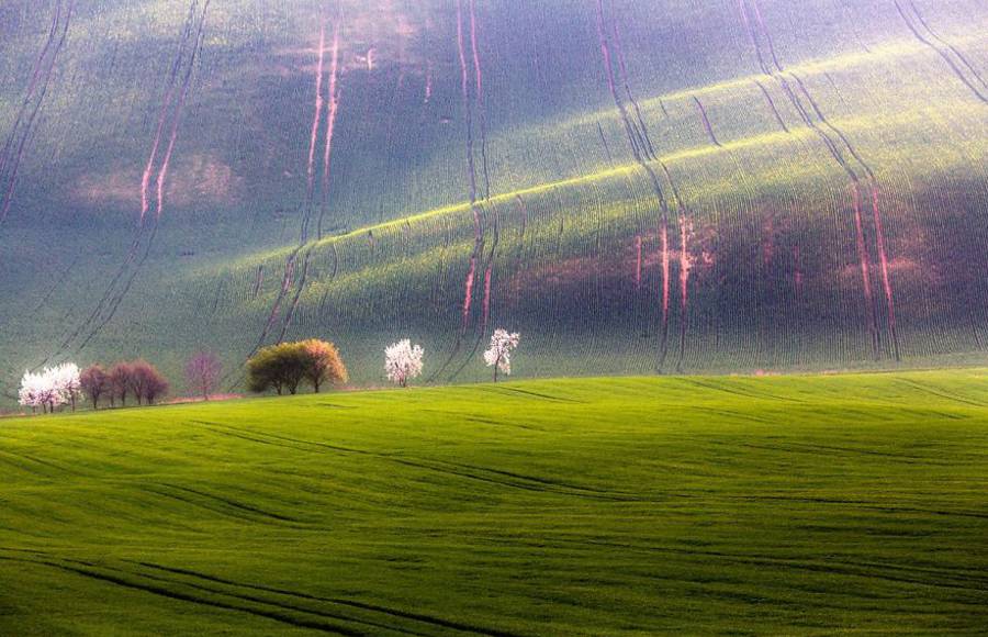 Surprising Wavy Photographs of European Fields