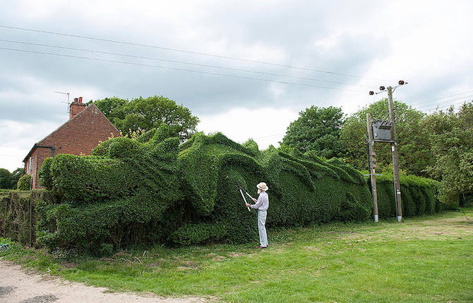 Beautiful Giant Dragon in an English Garden