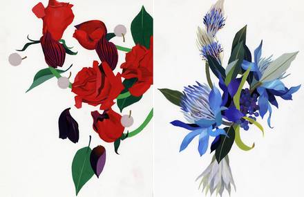 Beautiful Painted Illustrations of Flowers and Plants