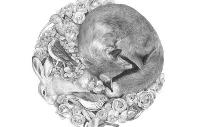 Delicate Animals Illustrations by Denise Nestor