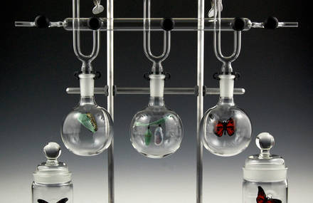 Scientific Glassblowing Sculptures