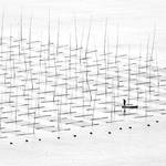 A fisherman is farming the sea in between the bamboo rods constructed for aquaculture off the coast in southern China.