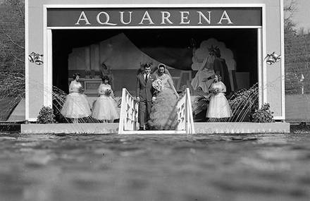 Beautiful Underwater Wedding of a Couple in the 50’s