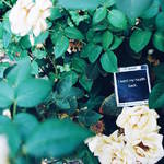 unsentmessagesproject-16