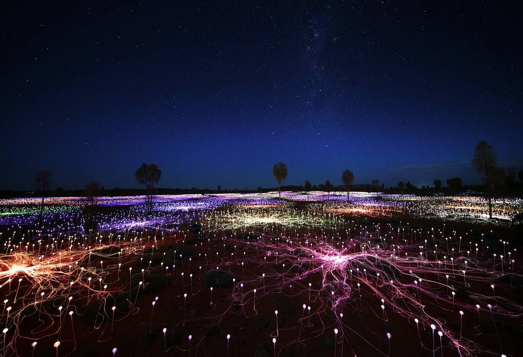 Amazing Field of Lights Installations Media