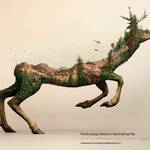 Destroying Nature is Destroying Life Ad2