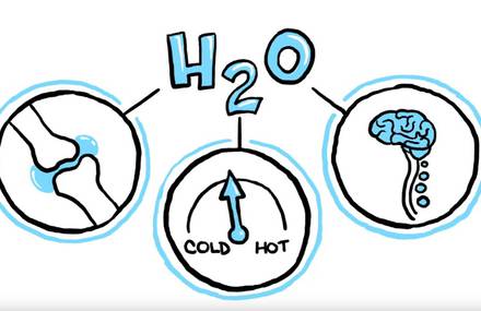 How Water is Important for Humans Animation