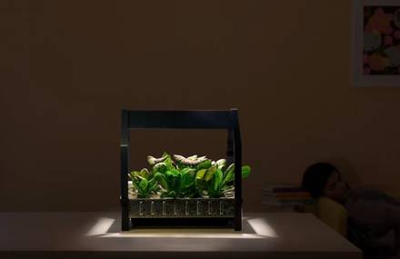 Ikea Installation for Indoor Gardeners