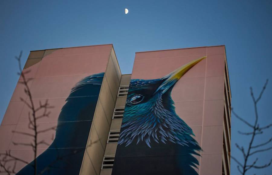 Impressive Giant Bird Mural in Berlin