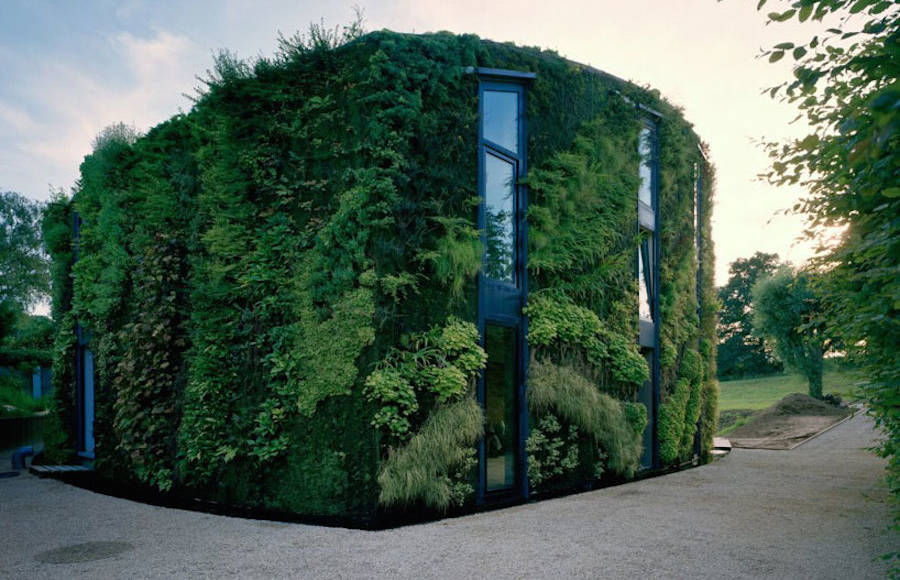 Vegetal Green House in Brussels