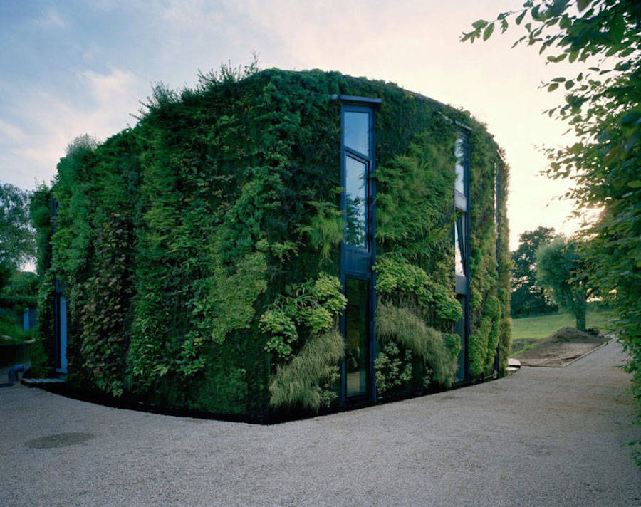 Vegetal Green House in Brussels