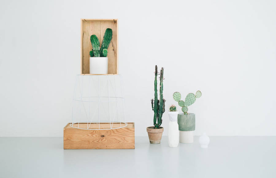 Visual Identity for a Cactus Concept Store