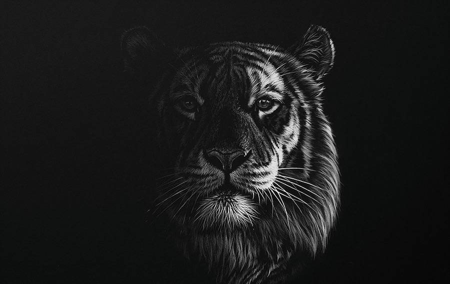Stunning Realistic Wildlife White on Black Drawings – Fubiz Media