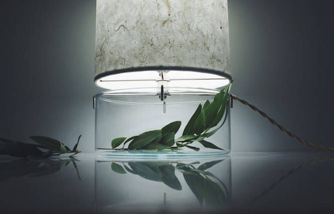 Inventive Terrariums Inserted Under Paper Lamps