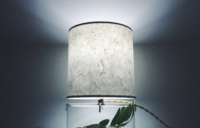 Inventive Terrariums Inserted Under Paper Lamps
