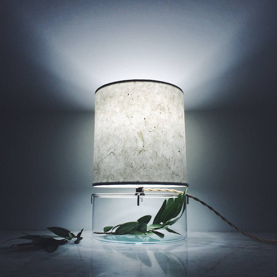 Inventive terrariums inserted under paper lamps – fubiz media