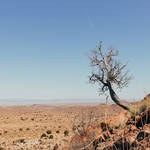 Navajo Reservation Experience Photography12