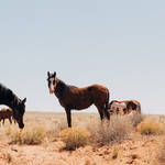Navajo Reservation Experience Photography7