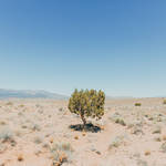 Navajo Reservation Experience Photography8