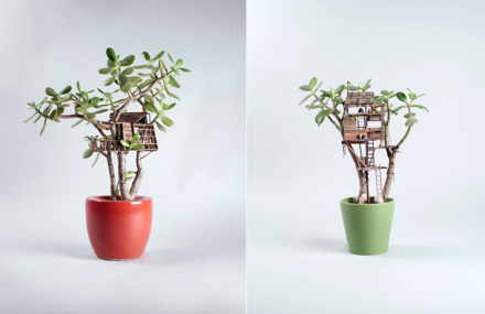 Tiny Wooden Houses Built Around Your Plants