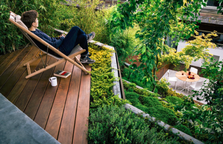Zen and Architectural Garden in California