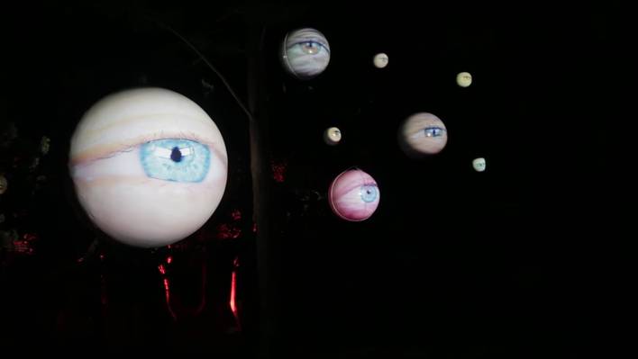 A Poetic Garden of Eyes Mapping Projection