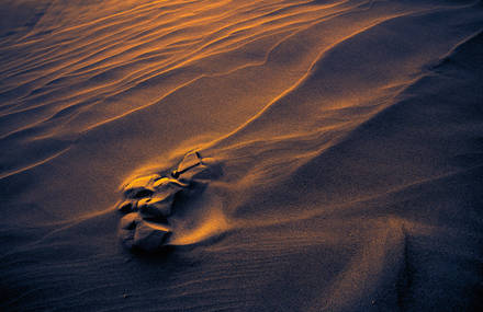 Hypnotic Sand Waves Photography Series