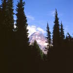 daydreaming&freedomsunnyphotographs-2