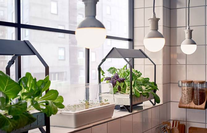Indoor Gardening Products by Ikea