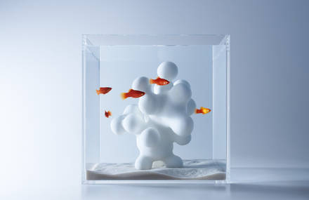 Modern Sculptural Fish Tanks