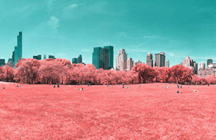 Pink Colored New York City