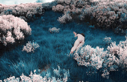 Nude Pictures of Men in Wildflowers’ Fields