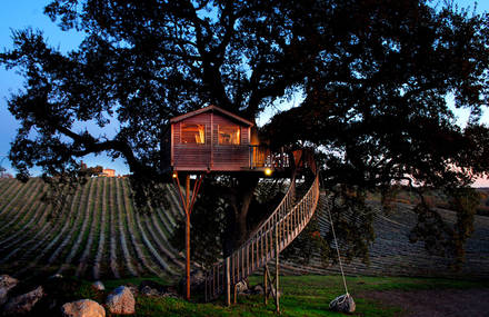 Wooden Tree House in Tuscany
