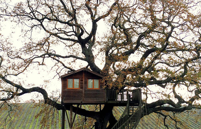 Wooden Tree House in Tuscany
